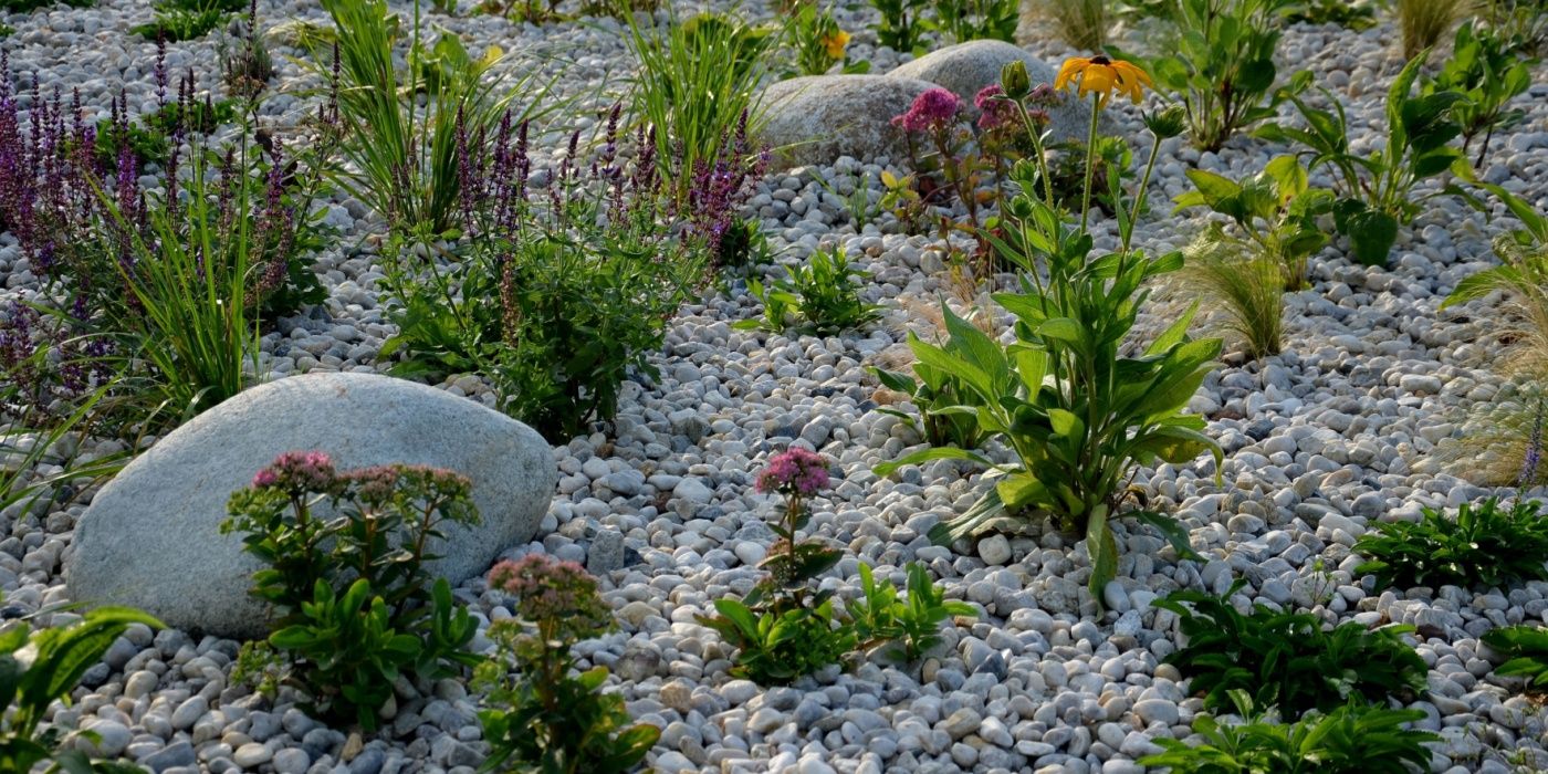 Rocks and pebbles in a Zen garden