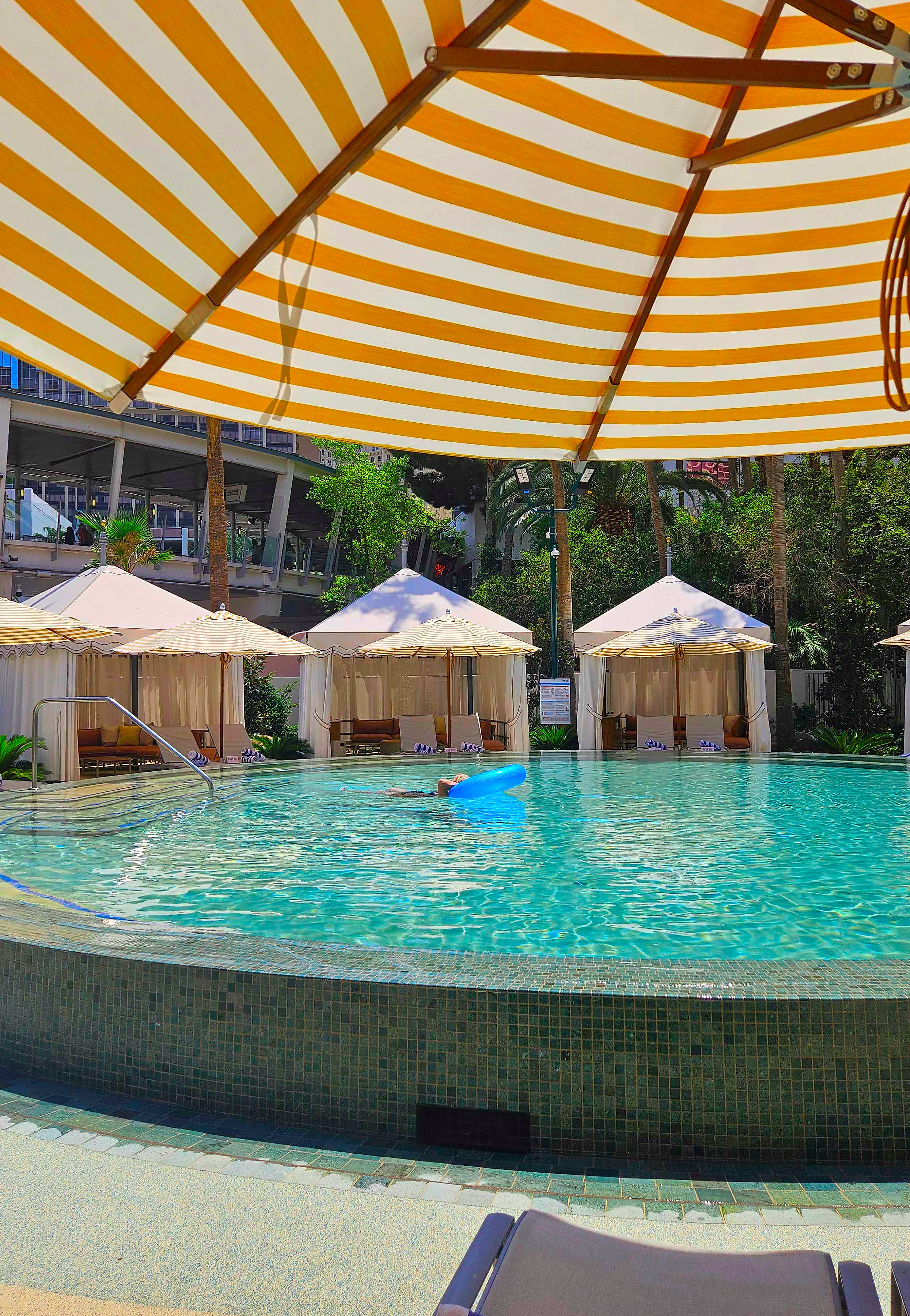 flamingo pool