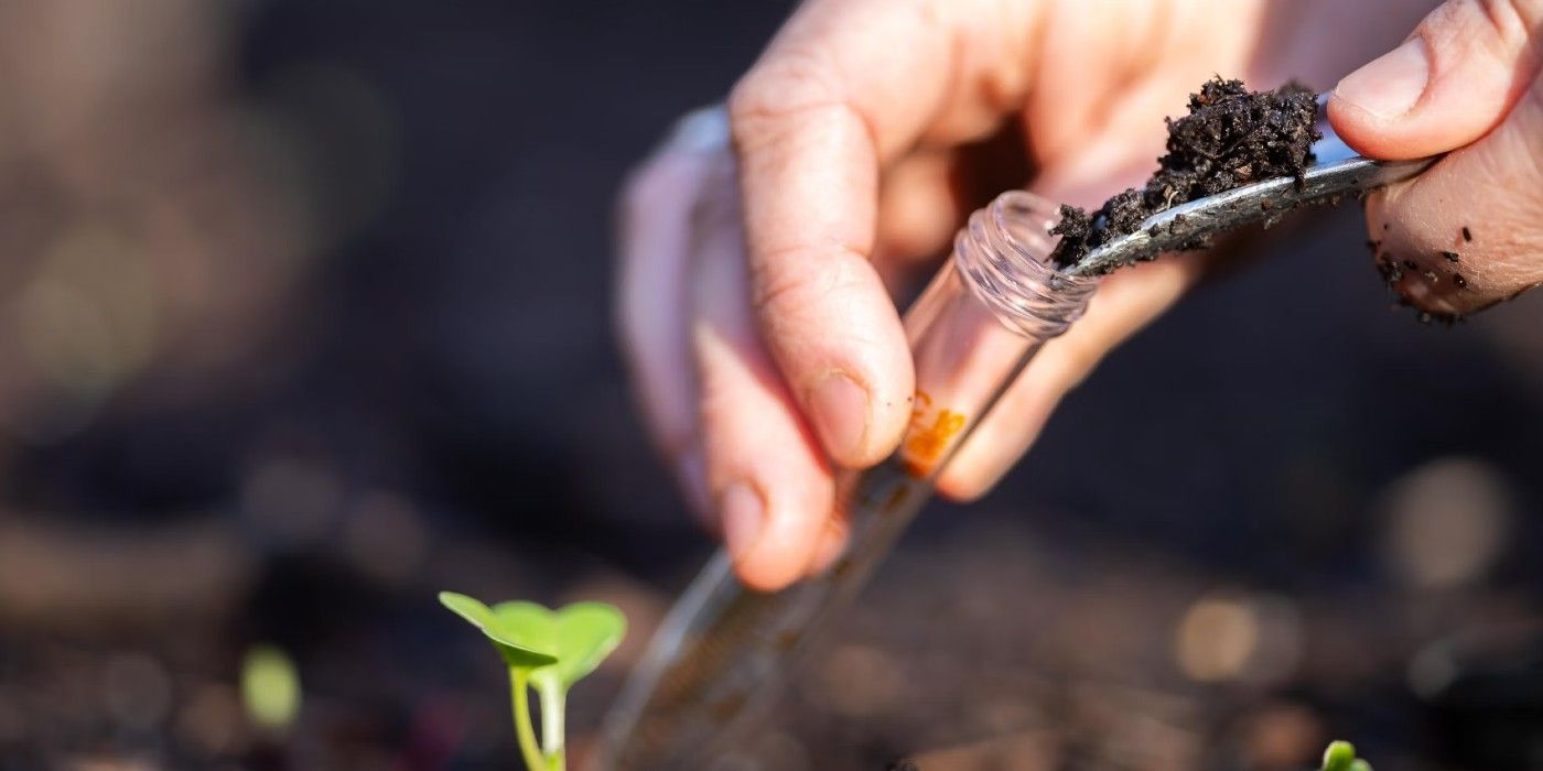 Taking soil sample to assess its health-1