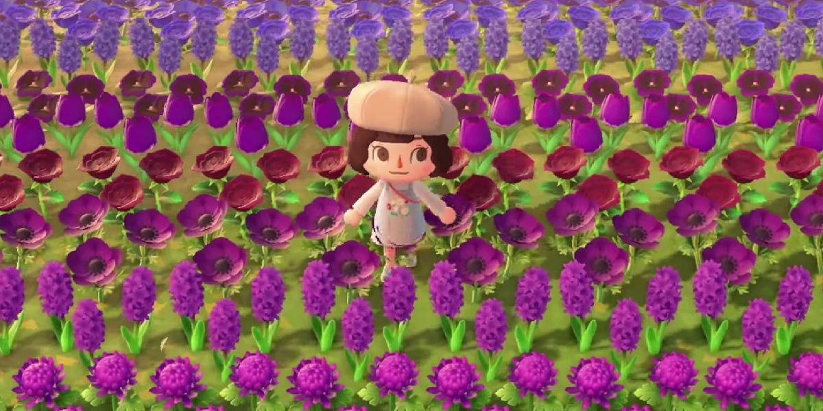 Player Standing in Purple Flowers in Animal Crossing New Horizons