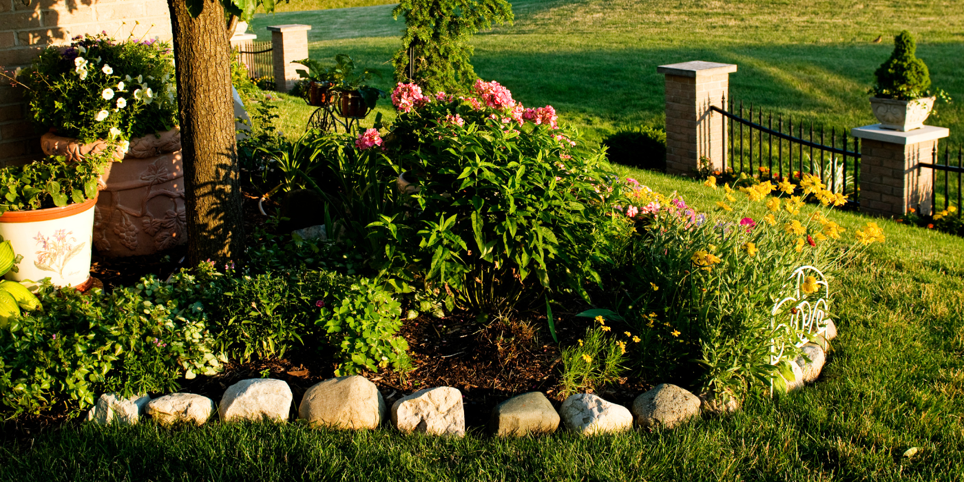 Stone edging trees and shrubs