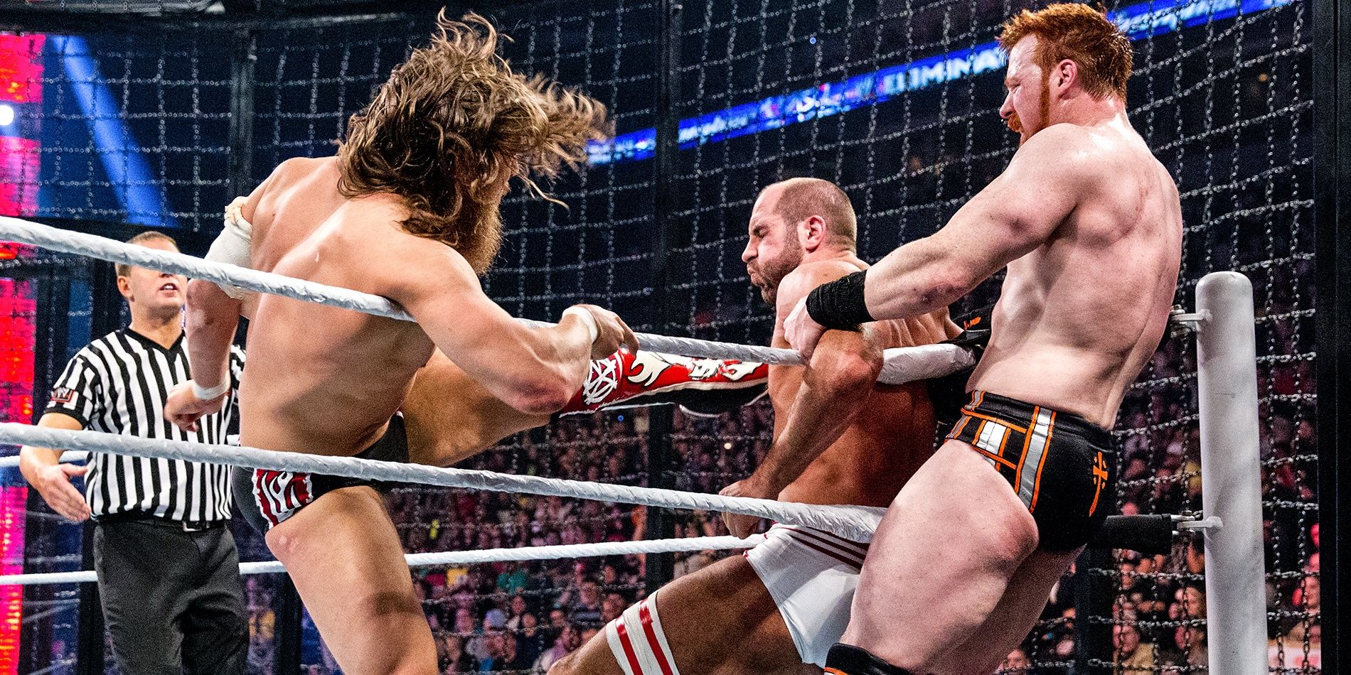 Sheamus in the Elimination Chamber 2014 