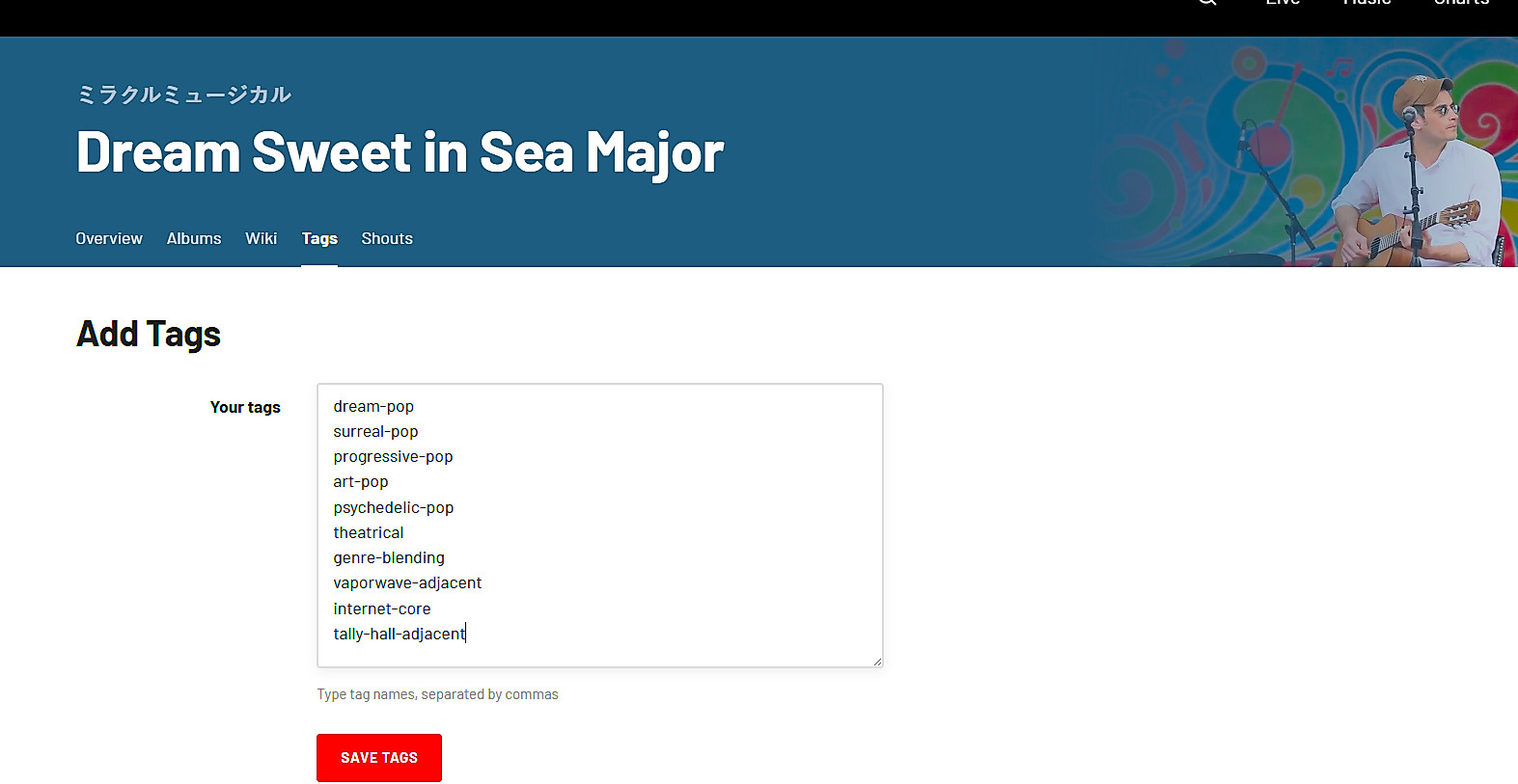 Last.FM tagging system