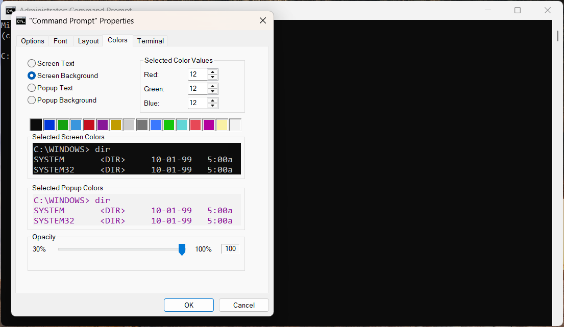 The properties window of CMD on Windows.