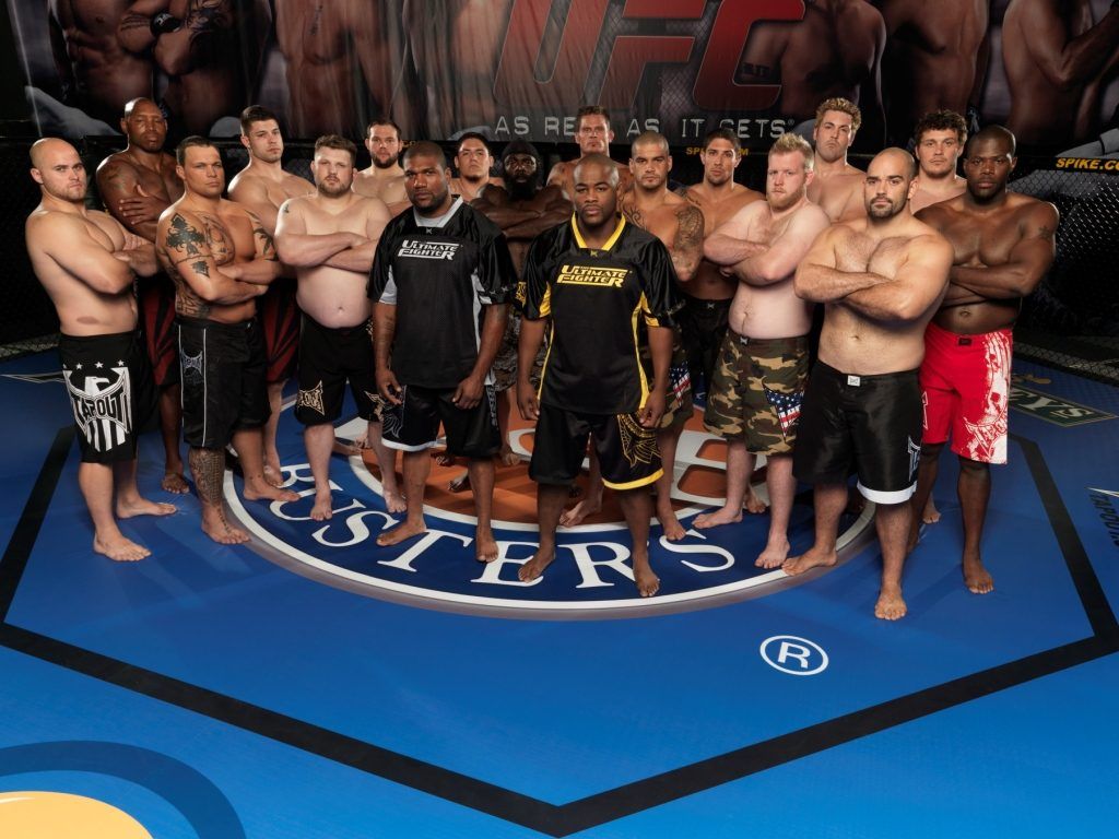 the ultimate fighter season 10