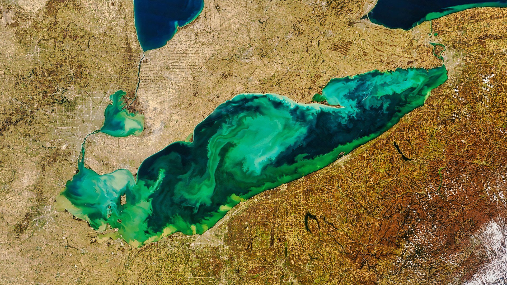Satellite image of Lake Erie